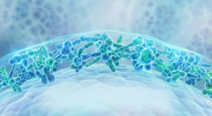 Dr. Daniel Prestes; Infectologista Vila Madalena; Infectologista Zona Oeste SP; Médico Infectologista Hospital Sírio-Libanês; Infectologista corpo clínico Albert Einstein; Infectologista perto do Beco do Batman; Infectologista Hospital Alemão Oswaldo Cruz; Infectologista Hospital Nove de Julho; Tratamento para SIBO e disbiose; Médico especialista em modulação intestinal; Microbiota e imunidade baixa; Candidíase de repetição tem cura?; Infecção urinária de repetição e intestino; Exames de metagenômica intestinal; Probióticos para imunidade; Tratamento de infecções recorrentes de mucosa; Onde fazer PrEP em São Paulo; Como funciona a PEP; Prevenção combinada ISTs; Médico infectologista LGBTQIA+ amigável; Check-up de doenças sexualmente transmissíveis; Prevenção de HIV e ISTs; Médico para imunidade baixa; Especialista em infecções recorrentes; Check-up infectológico completo; Vacinas para pacientes imunossuprimidos; Acompanhamento pós-transplante infectologia; Segunda opinião infectologia casos complexos; Vacinação de populações especiais; Médico infectologista particular SP; Consultoria sanitária para escolas; Protocolos de saúde em escolas; Palestras de saúde para pais e educadores; Vigilância sanitária em escolas; imunidade;febre;infecções